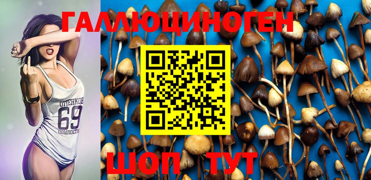 Галлюциногенные грибы GOLDEN TEACHER Бирск