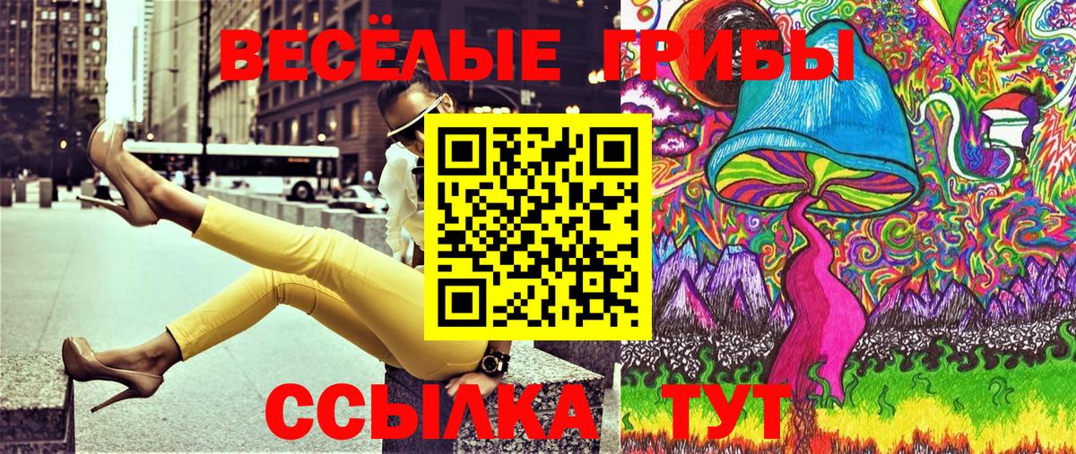 Галлюциногенные грибы Psilocybine cubensis  где купить наркотик  Вход с VPN  Бирск  Галлюциногенные грибы GOLDEN TEACHER 